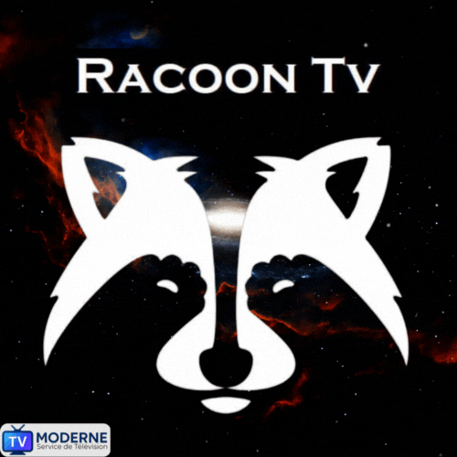Logo Racoon TV